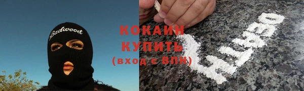 ГАЛЛЮЦИНОГЕННЫЕ ГРИБЫ Бородино