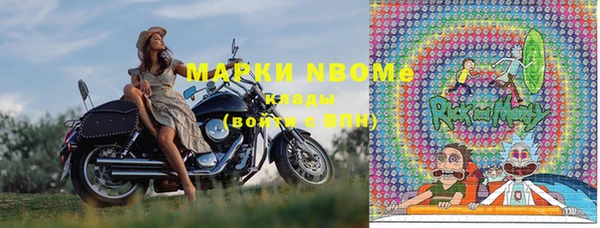 ГАЛЛЮЦИНОГЕННЫЕ ГРИБЫ Бородино