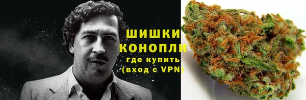 ГАЛЛЮЦИНОГЕННЫЕ ГРИБЫ Бородино