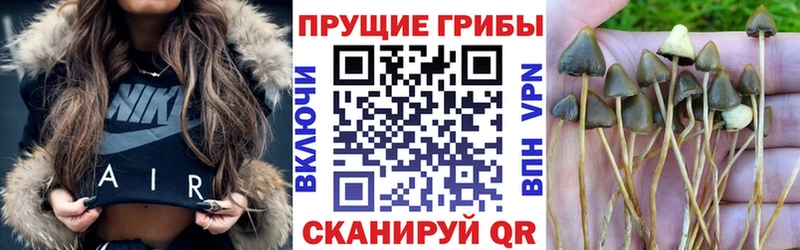 Галлюциногенные грибы мицелий ссылка на мегу онион Зубцов